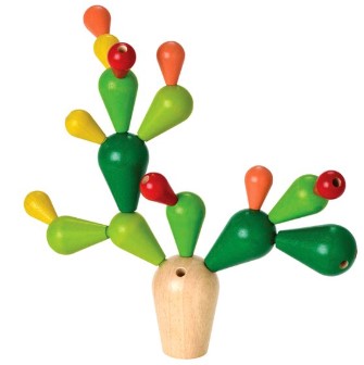 선인장 균형놀이